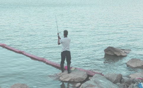 29����~�Ć�ʾ��