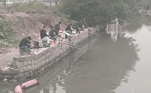 【薦】釣魚的作文