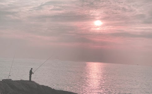 ��~�Ć�ʾ�̌WӋ��