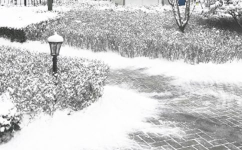 ������ȫ�������Y(ji��)