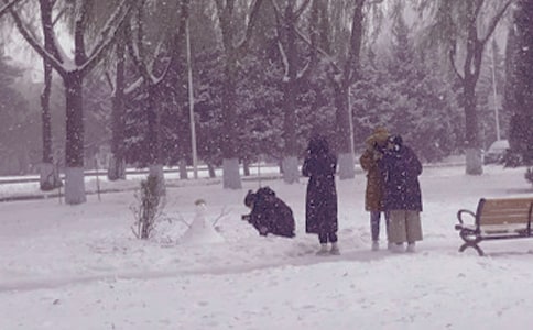 �������ů����ġ���(y��u)�x��