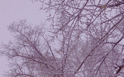 ����ů����ı؂�[15ƪ]