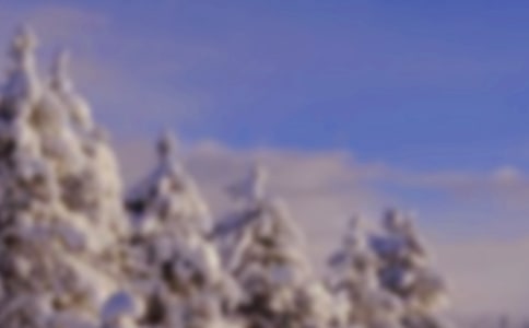 �����Ķ���