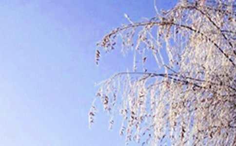 ���샞(y��u)������[���\15ƪ]