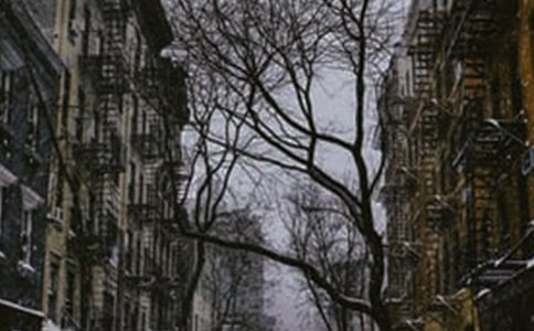 �ؑc�Ķ�������