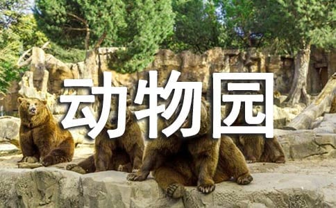 大班數(shù)學(xué)教案動物園里裝電話