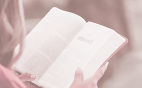 世界讀書日的勵(lì)志句子