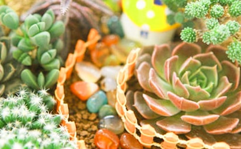 ���⃞(y��u)�����ġ����A10ƪ��