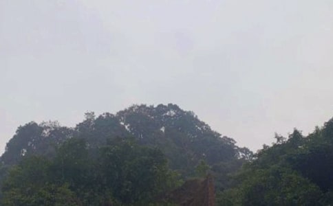 峨眉山優(yōu)秀作文(共15篇)