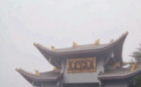 游峨眉山優(yōu)秀作文7篇