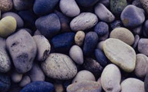 ����һ�w�Z��ʯ����(13ƪ)