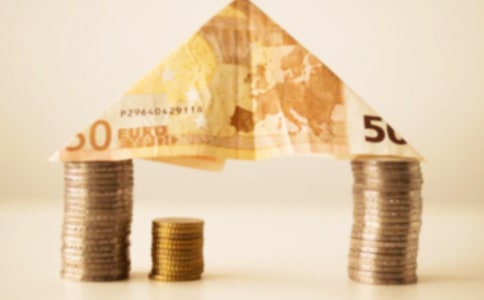 我的發(fā)財樹優(yōu)秀作文(精選19篇)