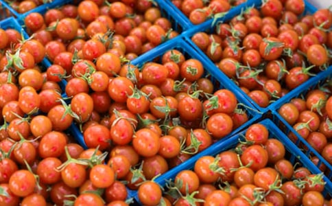 ���ѳ������ġ��R��15ƪ��