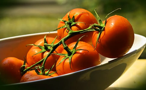 ���ѵ����ı؂䡾15ƪ��