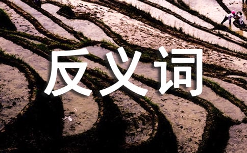 ��(f��)��(x��)���x�~