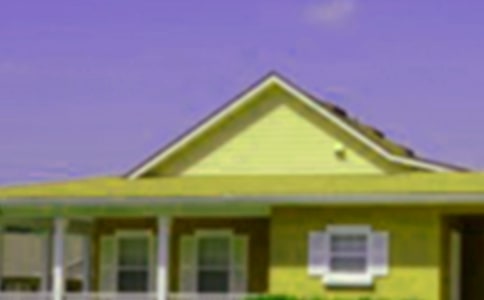 奇特的房子作文