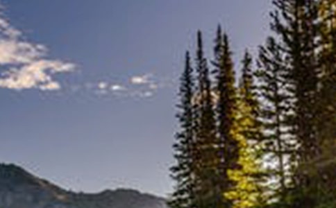 精選形容風(fēng)景的句子21句