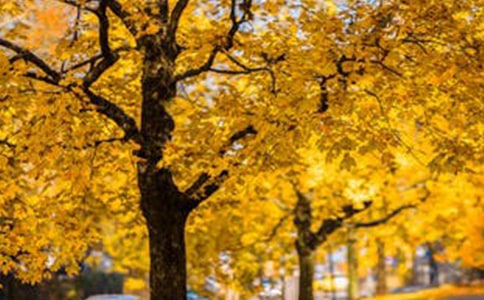 ���´�����L��С�W������400�֣����x4ƪ��