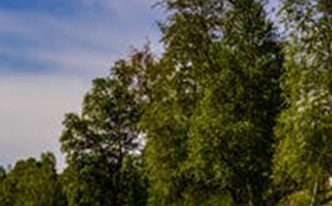 風(fēng)景名勝區(qū)管理體制的探索與創(chuàng)新