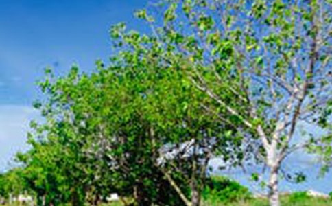 2025年形容風(fēng)景的句子28句