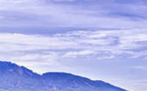 風(fēng)景園林開題報(bào)告