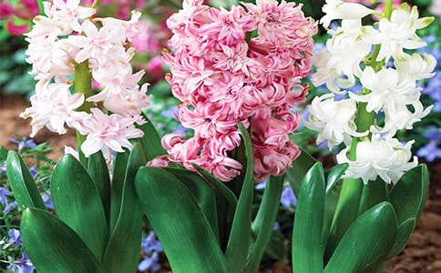 �L�������ľ��x15ƪ