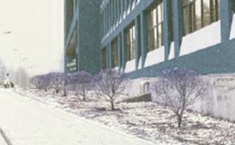 ��(c��)  �ֽ��^�L(f��ng)ѩɽ��R�� ʾ����