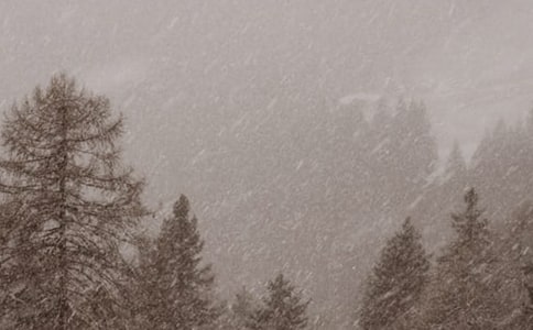 風(fēng)雪的優(yōu)秀作文