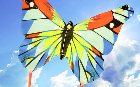 語(yǔ)文 -理想的風(fēng)箏