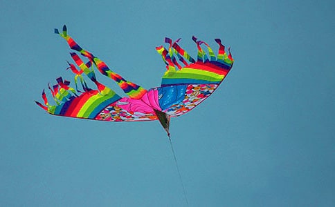 �L(f��ng)�~�̌W(xu��)�O(sh��)Ӌ(j��)