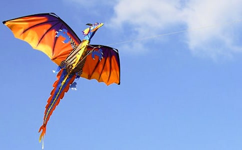 放風(fēng)箏作文