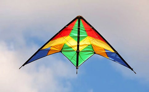 小學(xué)三年級(jí)語文《花兒也會(huì)放風(fēng)箏》教案