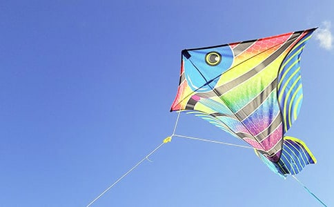 精選放風(fēng)箏日記九篇