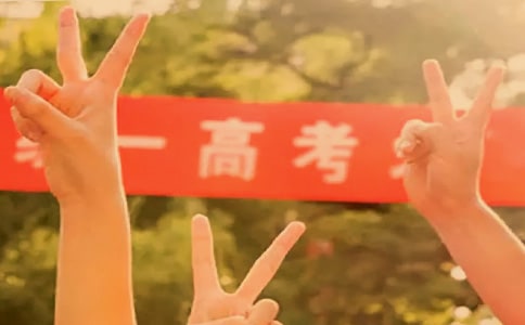 (必備)優(yōu)秀高考作文范文14篇