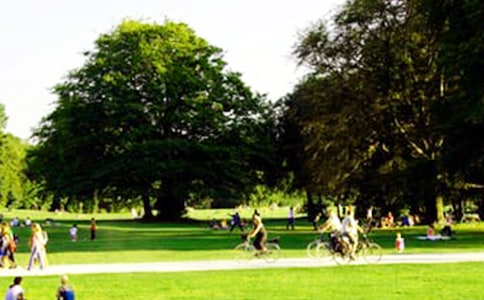 公園個人工作總結(jié)8篇