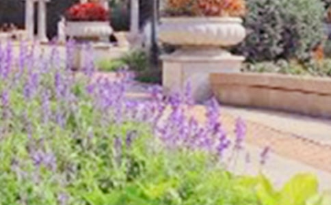 ٪�_�o(j��)���@������g(sh��)�̰�