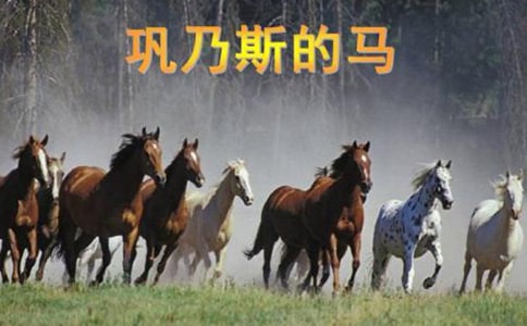 �����˹���R��...