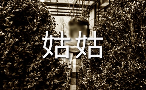 姑姑優(yōu)秀作文匯編13篇