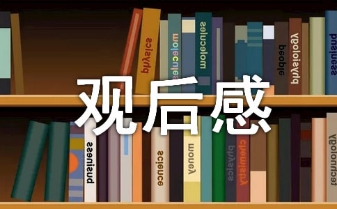 《百年情書》觀后感范文