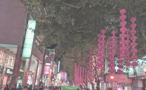 �V�����{(di��o)����