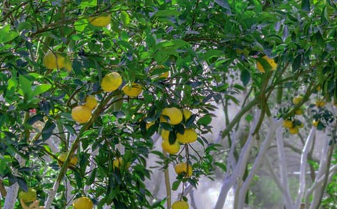 ���@�W(xu��)������