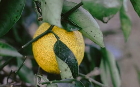 ���@�а���ͬ