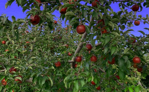 �S�յĹ��@����