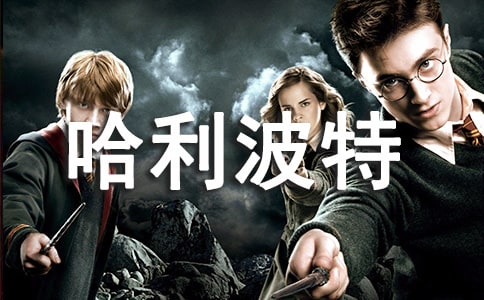 遇見哈利波特作文