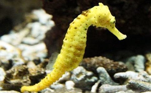 �茑���R�ă�(y��u)�����ӣ����x110�䣩