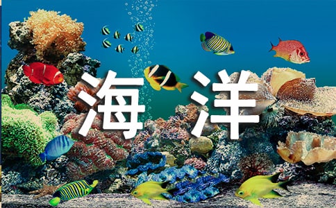 關(guān)于船舶與海洋工程方向?qū)I(yè)基礎(chǔ)課教學(xué)的思考