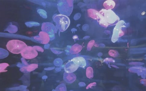 ���󹫈@֮������