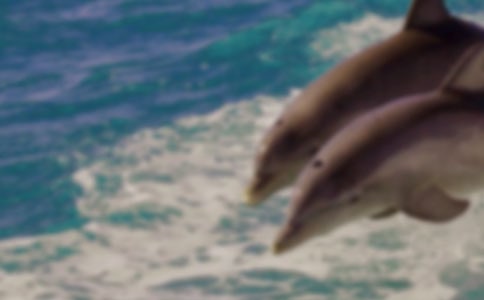 �����������(y��u)�����ģ�ͨ��3ƪ��