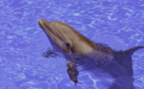 ������������ľ��x��13ƪ��