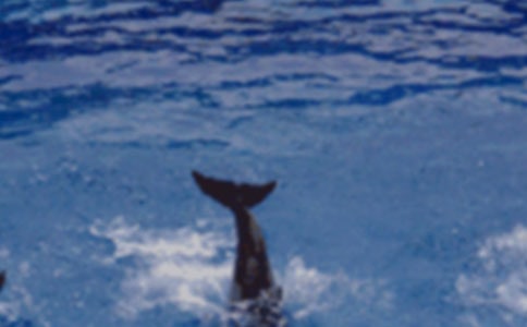 �������������